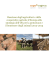 Reazione degli agricoltori e delle cooperative agricole d`Europa alla