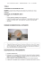 TITOLO MATERIALI E STRUMENTI USATI DISEGNO SCHEMATICO