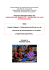 dipartimento di scienze dell`educazione
