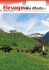 Elevage Vallée d`Aoste n.55