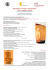 REWRITING AND SELF INSCRIPTION Storia, immagini, memoria