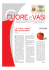 Cuore e Vasi