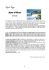 scarica il catalogo in formato pdf