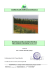 Relazione Geologica - Comune di Sommacampagna
