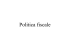 Fisco e Welfare