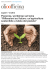 Riflessioni sul futuro: un`agricoltura sostenibile a tutela