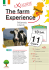 brochure Irlanda 3+ Weeks