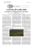 CACCIA IN LAPLAND di Mario Di Pinto
