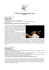26 Albanoarte Teatro Festival 2016/17