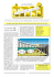 Newsletter_Maggio_2006