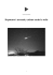 Scaricabile in PDF