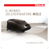 Il mondo dell`aspIrazIone Miele
