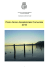 Piano Socio Assistenziale Comunale 2015