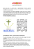 News Corso Tecniche Base Del Massaggio 2