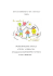 PROGRAMMAZIONE ANNUALE ATTIVITA` ALTERNATIVA all