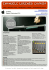 curriculum emanuele lorenzo cavassa - GAi