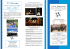Brochure - Fileremo-Centro orientamento disabili