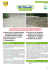 detergente universale biodegradabile e