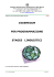 vademecum per programmazione stages linguistici