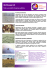 I2L public health IT flyer