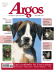 Cani a confronto: tris d`assi scattanti