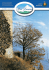 N. 53 - Comune di Brissogne