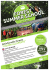 Forest School Brochure