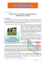 Apri il PDF - e