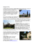Abbazia di Farfa - l`oasi del colle