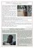 lettera dal congo “la casa dei fratelli”