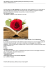 San Valentino in versi: raccolte di poesie per