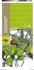 la mosca delle olive note tecniche di difesa