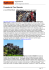 Proposte dai Tour Operator