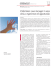 Scarica il PDF dell`articolo