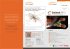Coiltech 2015