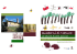 La collina di S. Quirico