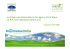 Presentazione Short Rotation Forestry