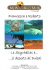 Francesca e Roberto Le Seychelles e… …il deserto di Dubai