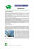 Bioetanolo - Comitato Termotecnico Italiano