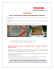 linee guida sull`utilizzo dell`imballo per notebook toshiba