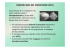 NOZIONI BASE DEL PROCESSORE (CPU)