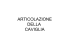ARTICOLAZIONE DELLA CAVIGLIA