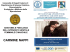 relazione