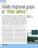 Unicalce, Le strade Mar 10