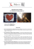 qui il programma completo da linkare, scaricare e