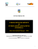 sintesi progetto