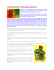 Thomas Sankara il Che Guevara africano
