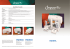 Brochure - Primera EU