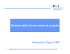 Gestione delle risorse umane di progetto Alessandro - PMI-NIC