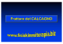 Fratture del CALCAGNO Fratture del CALCAGNO